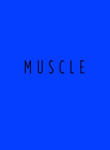 HEISSLER-muscle10