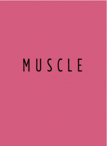 HEISSLER-muscle11